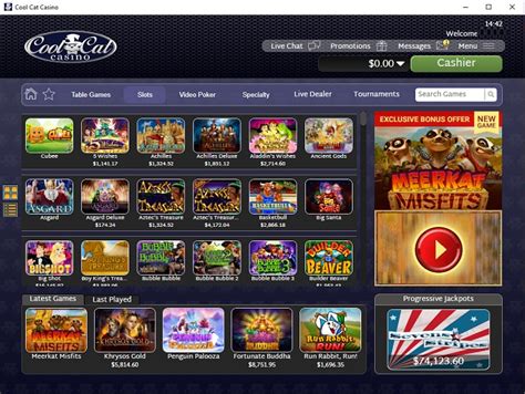 coolcat casino lobby|coolcat org.
